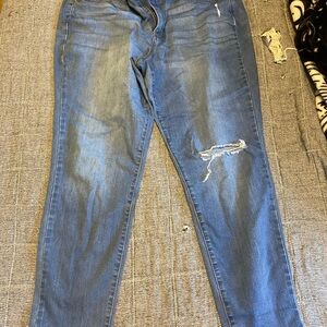 Sonoma Classic Blue Denim Jeans